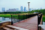 城市桥梁 河桥建筑