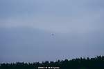 城市阴天 白鹭飞天