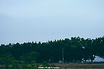 城市路梁 白鹭飞翔