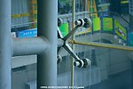 体育建筑 玻璃螺栓