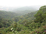 山中美景