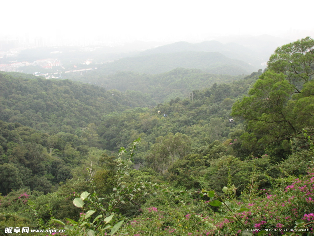 山中美景