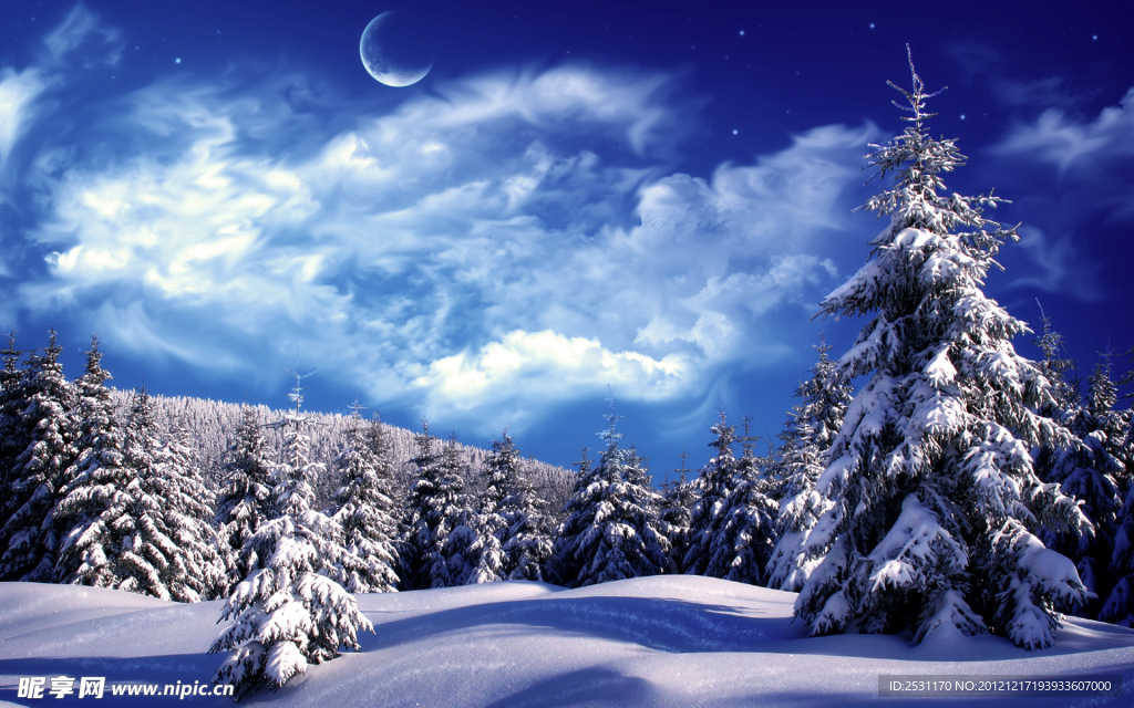 雪景