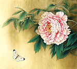 花香蝴舞
