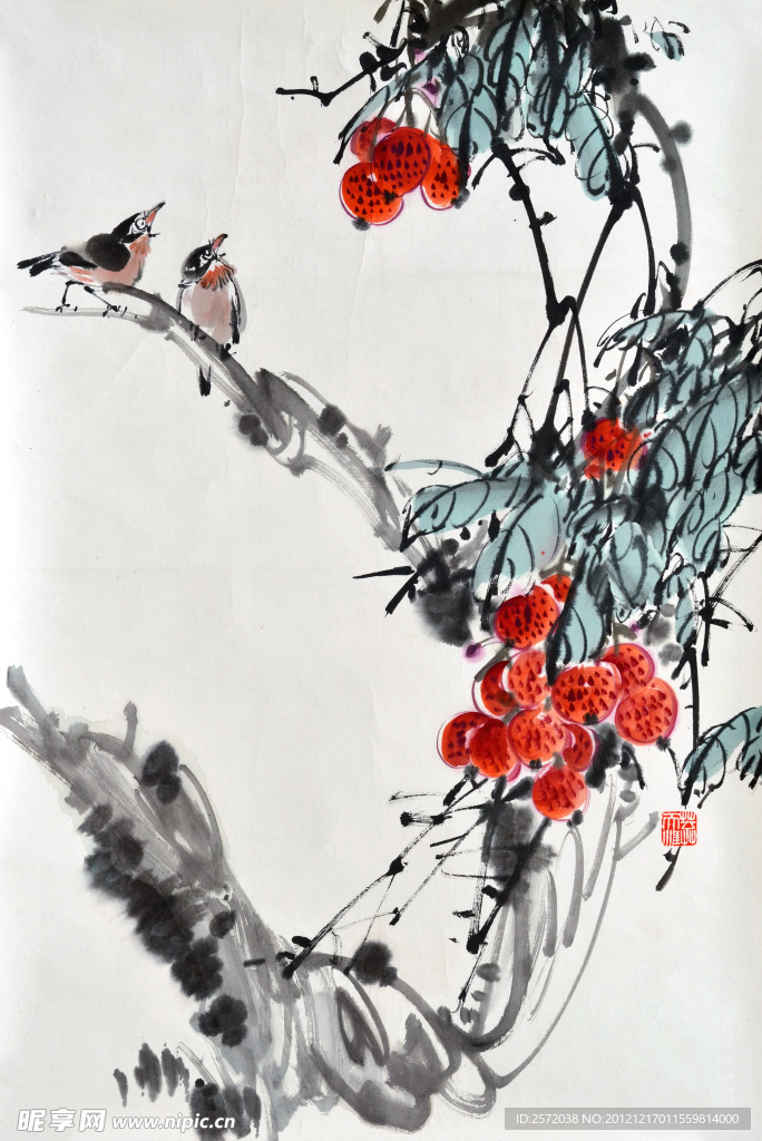 荔枝小鸟