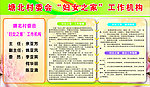 塘北村委会妇代会