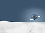 雪景
