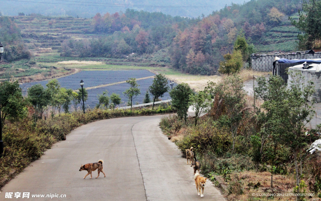 乡村公路