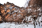 泗沟的薄雪
