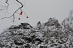 泗沟的薄雪