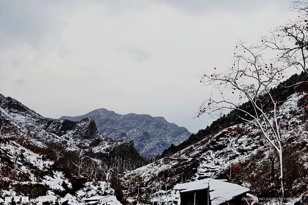 泗沟的薄雪