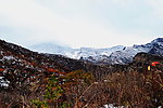 泗沟的薄雪