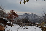 泗沟的薄雪