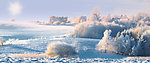 冬季雪景