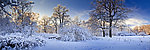 冬季雪景全景