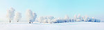 冬季雪景全景图