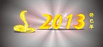 2013 金蛇