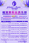 俱乐部宣传彩页