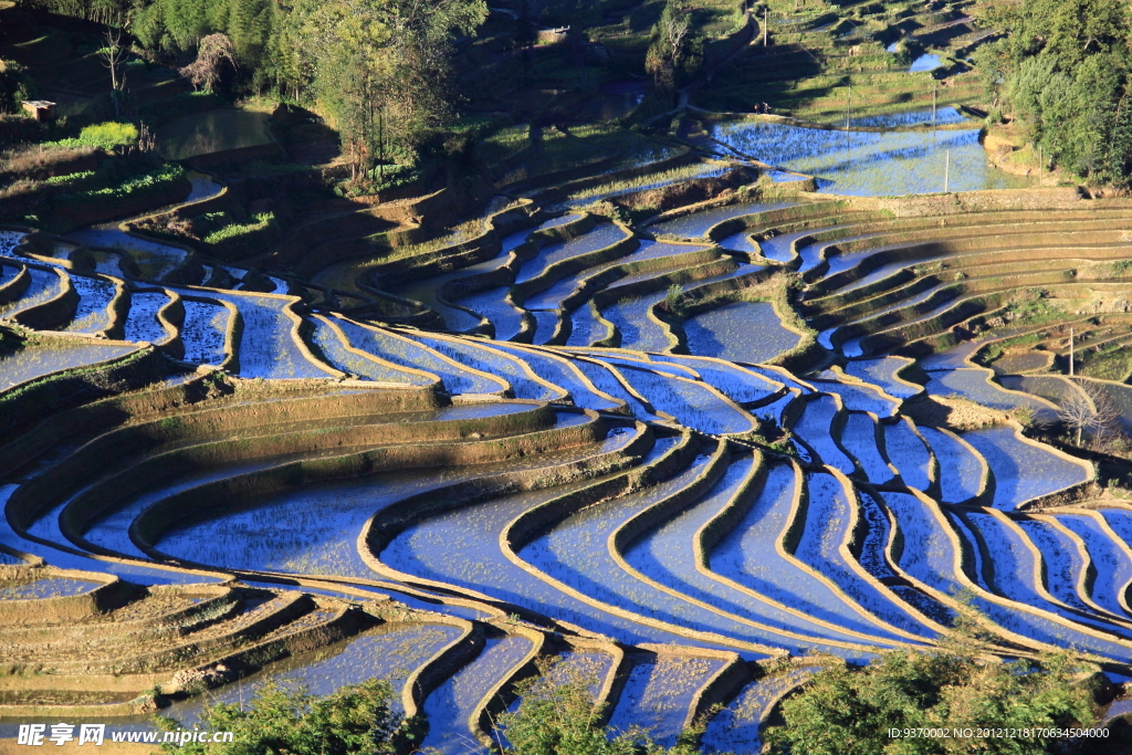 元阳梯田