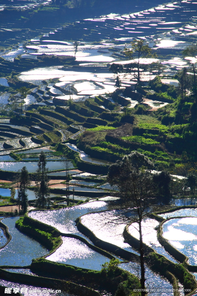 元阳梯田