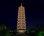 塔夜景效果图