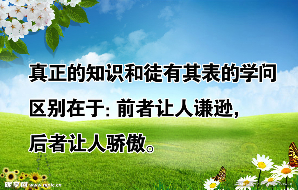 标语展板