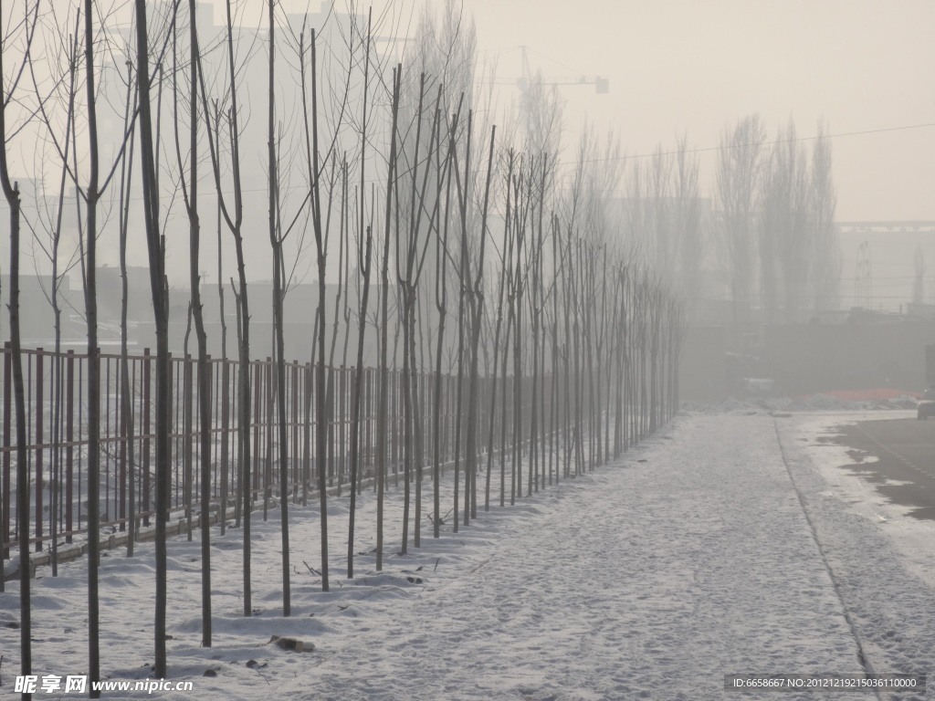 雪景马路