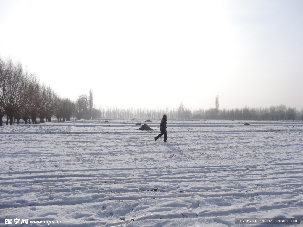 雪景