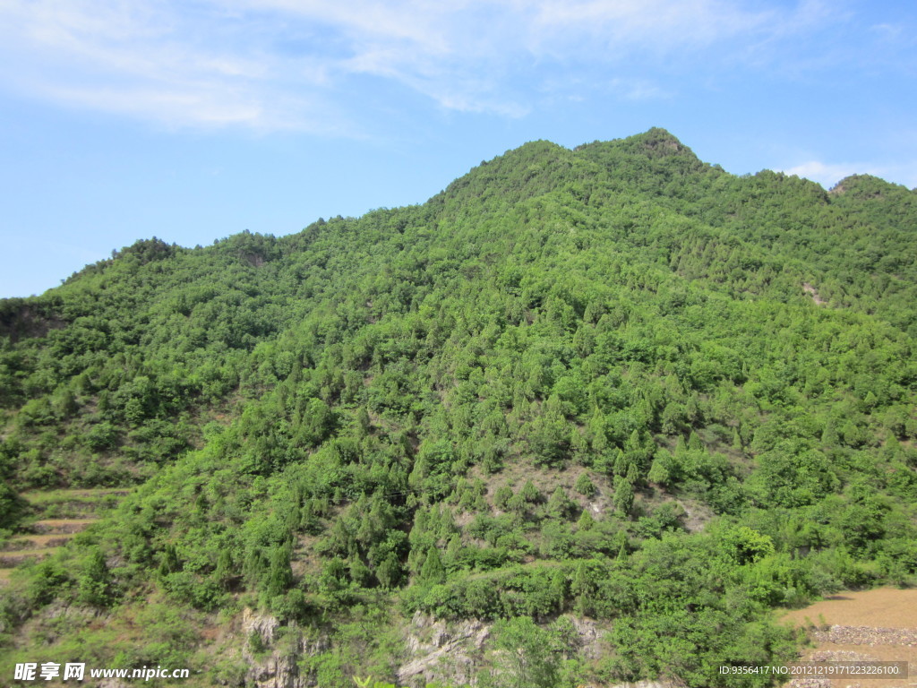 青山