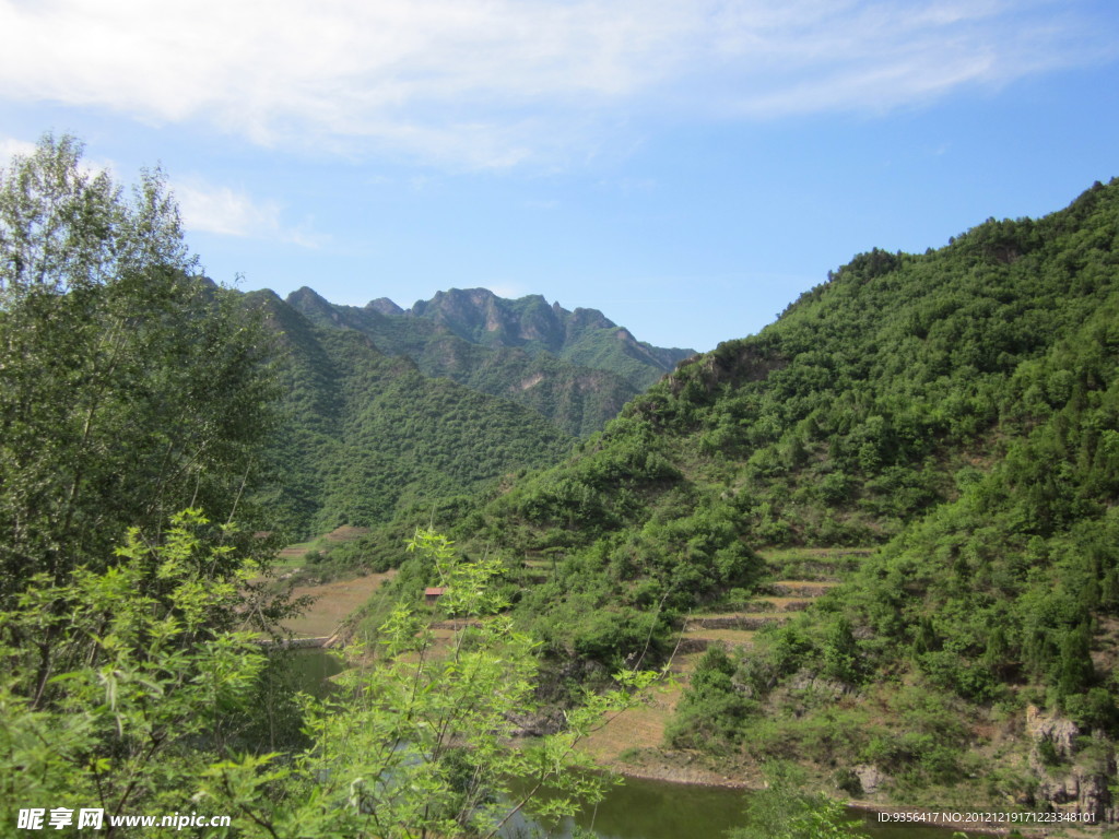 青山绿水
