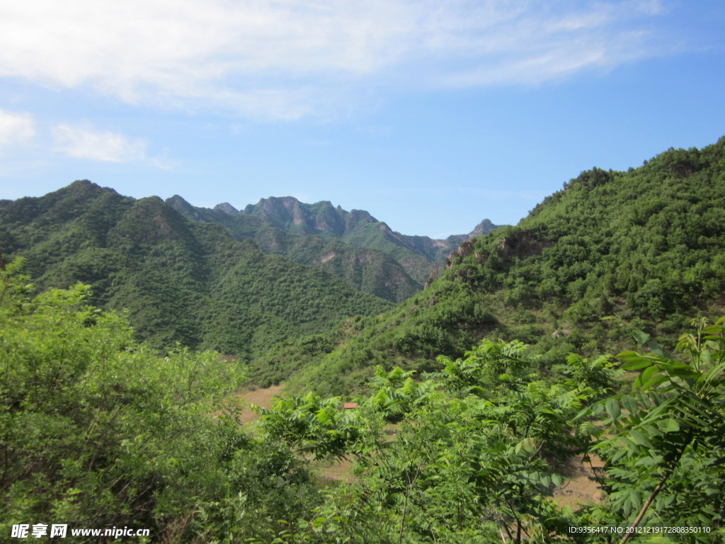 青山