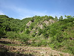 青山