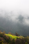 山中云雾