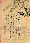 古纹 柳树