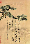 古纹 松树