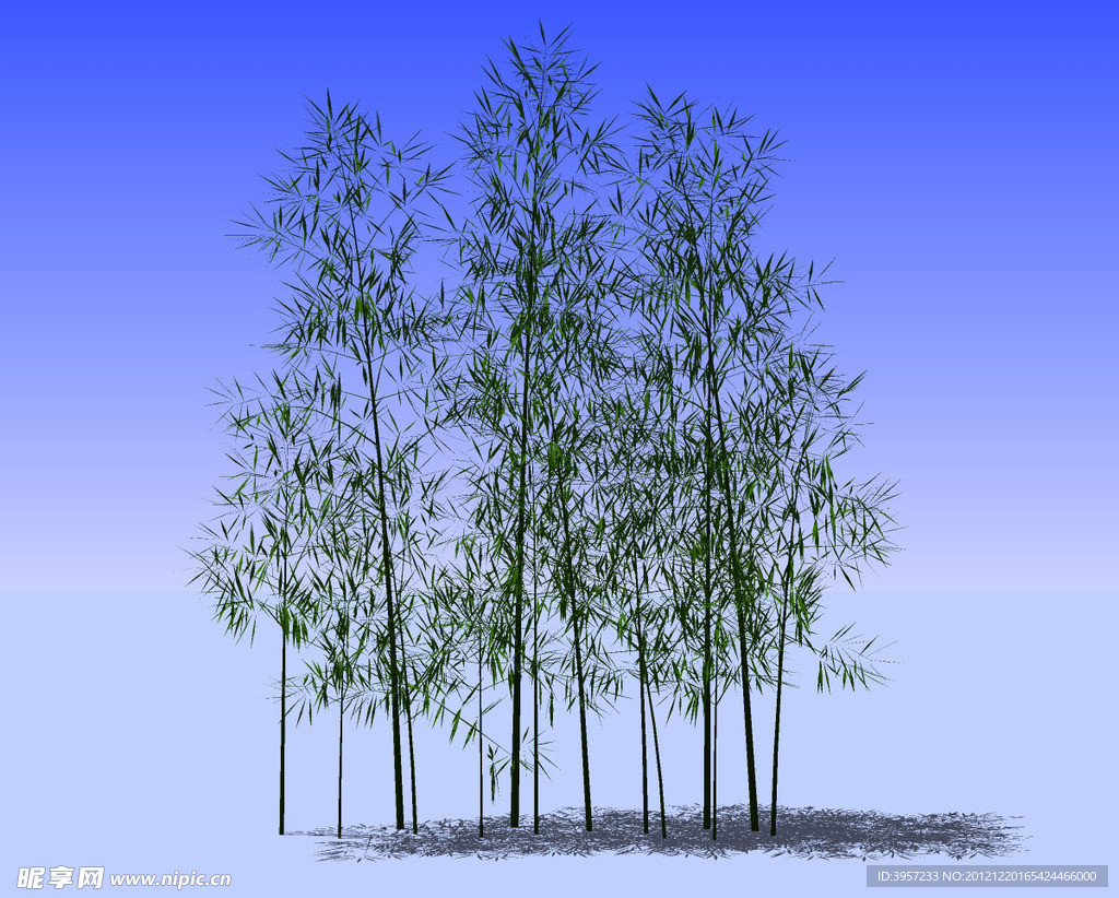 竹子精细3D模型