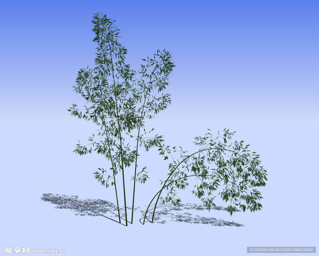 竹丛精细3D模型
