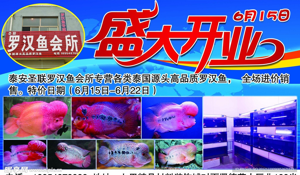 罗汉鱼