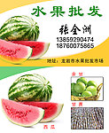 水果批发名片