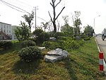 道路绿化带