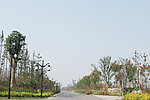 城镇小路