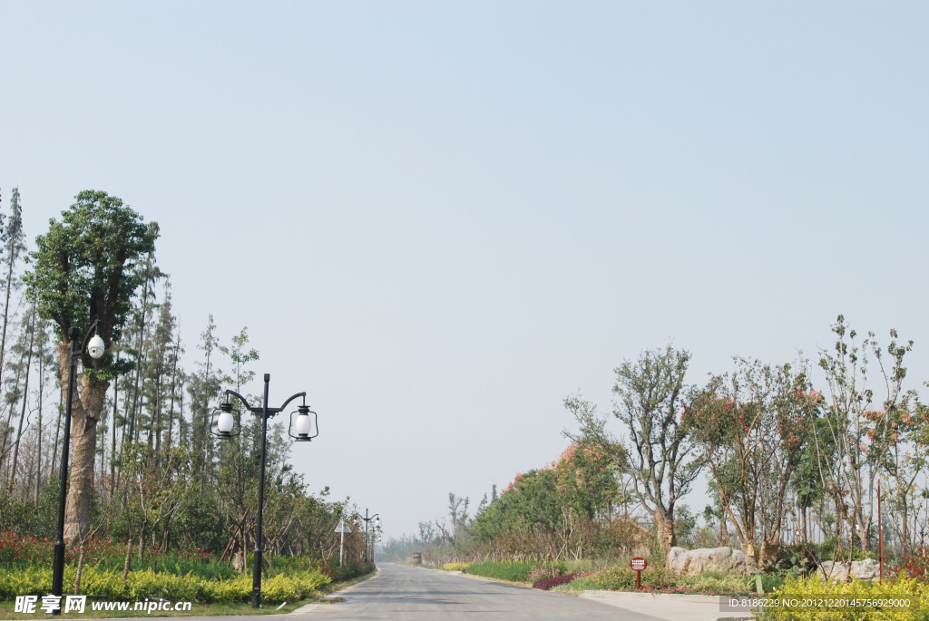 城镇小路