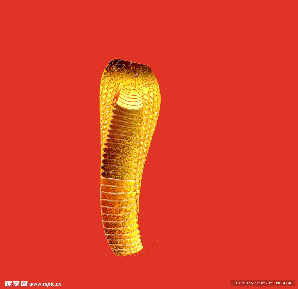 金色眼镜蛇