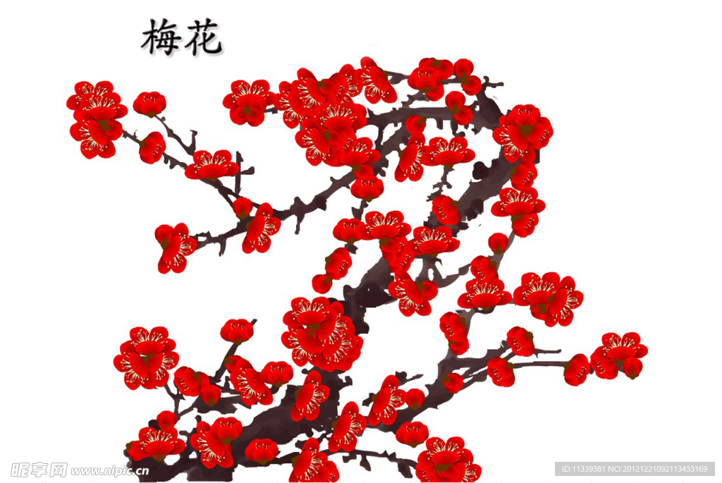 梅花（枝）