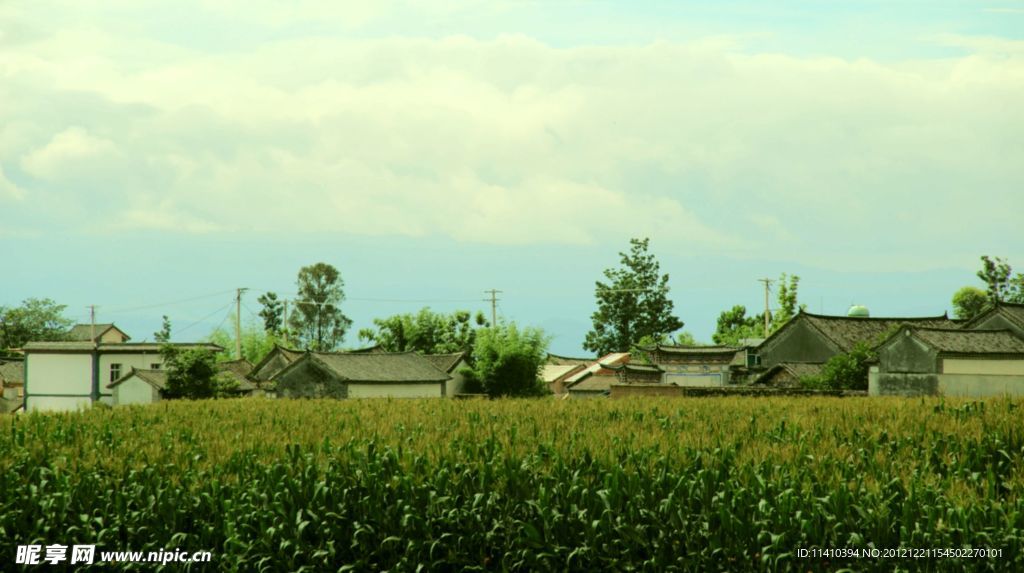 田地