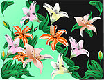 手绘花朵
