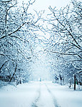 雪路