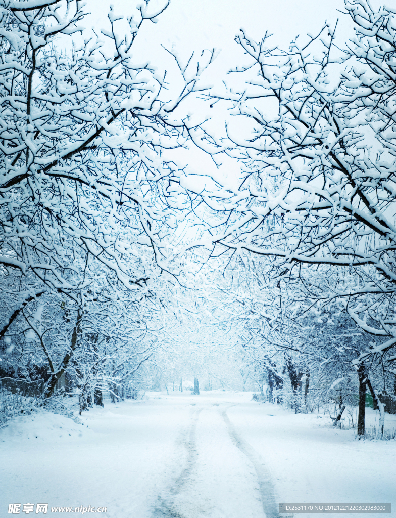 雪路