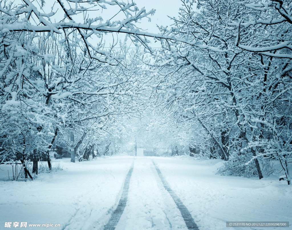 雪路