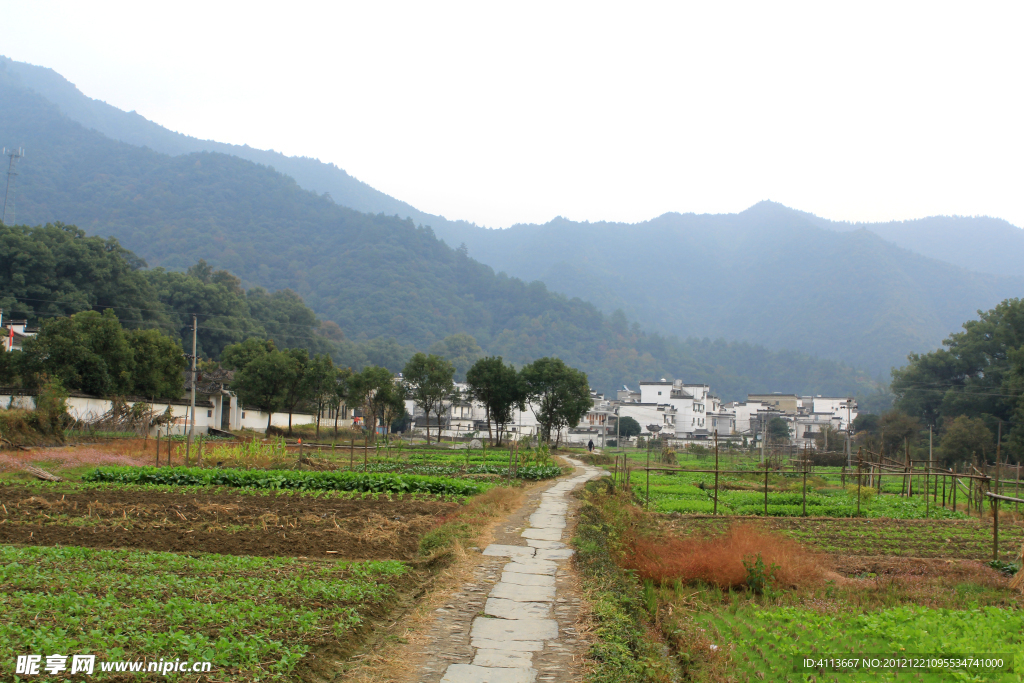 婺源风景